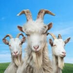 Goat Simulator 3 APK MODs 1.1.3.0 (Unlimited Money)